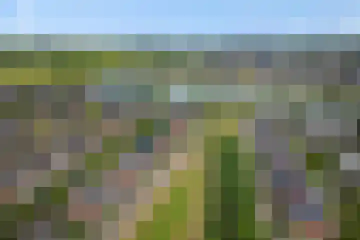 Repertoireweg 32 Rosmalen thumbnail 49