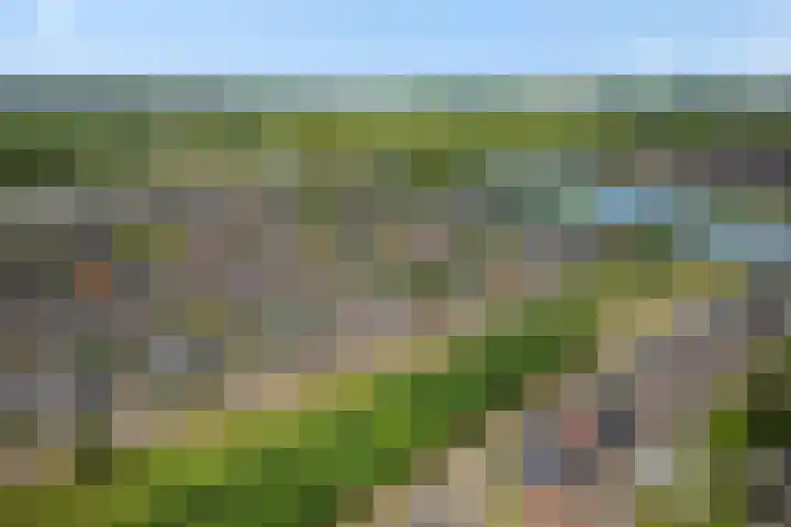 Repertoireweg 32 Rosmalen thumbnail 51