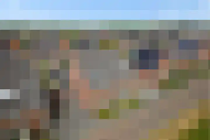 Repertoireweg 32 Rosmalen thumbnail 64