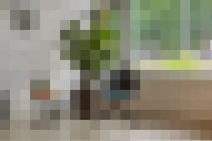 Repertoireweg 32 Rosmalen thumbnail 9