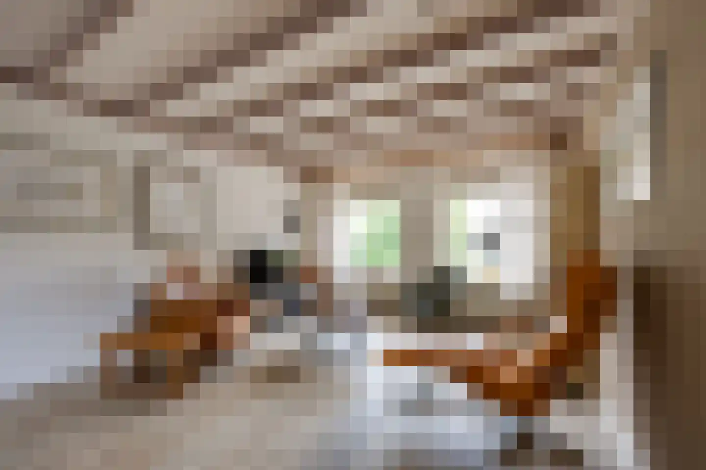 Repinge 2 Hoeven thumbnail 13