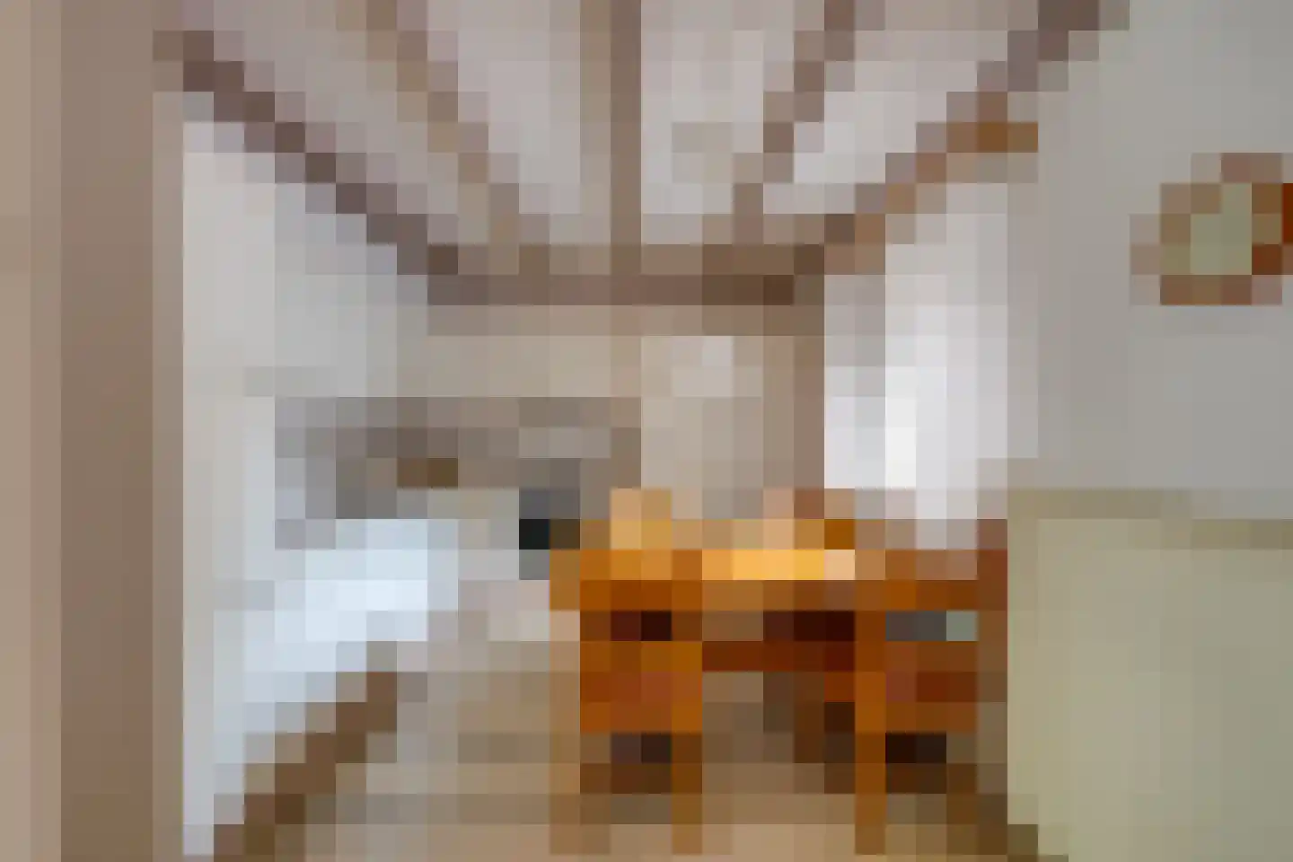 Repinge 2 Hoeven thumbnail 16