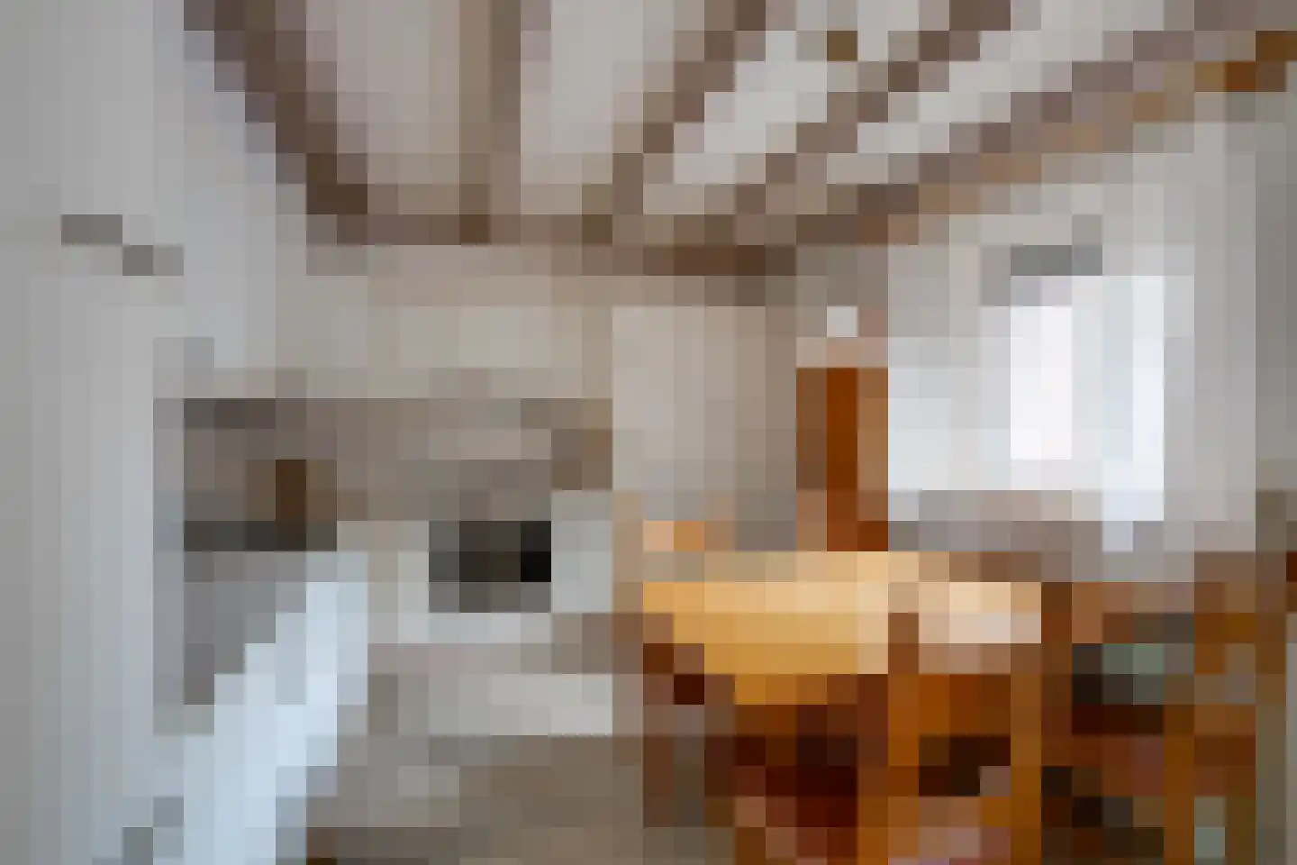 Repinge 2 Hoeven thumbnail 18