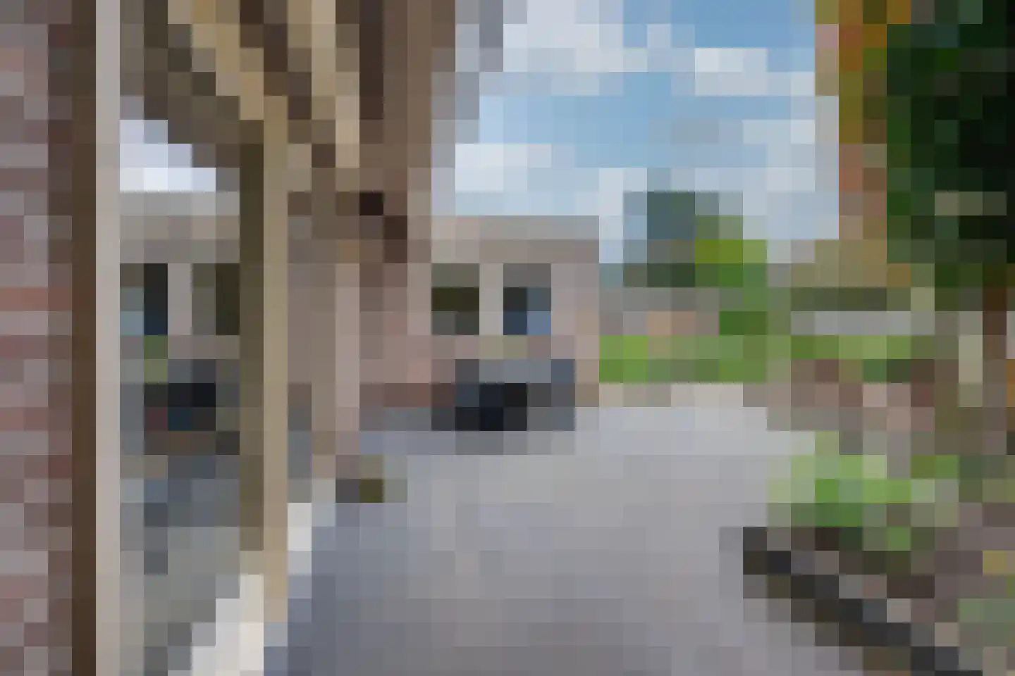 Repinge 2 Hoeven thumbnail 33