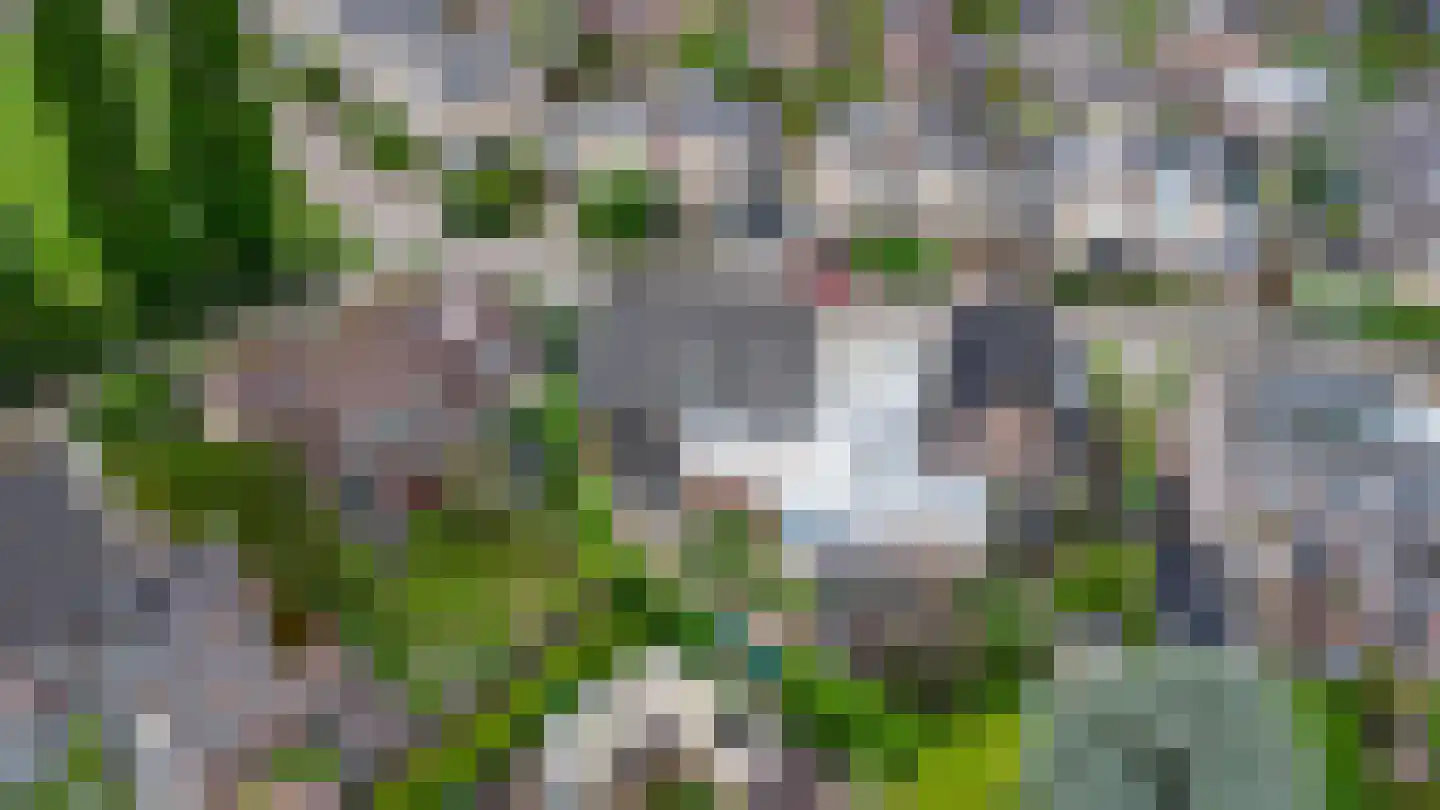 Repinge 2 Hoeven thumbnail 38