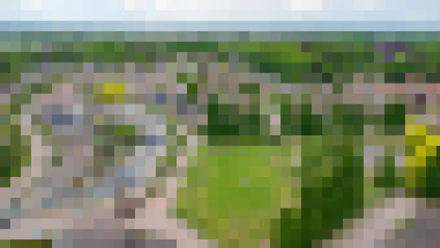 Repinge 2 Hoeven thumbnail 4