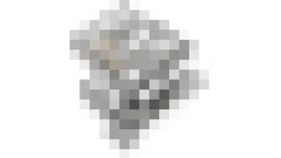 Repinge 2 Hoeven thumbnail 41