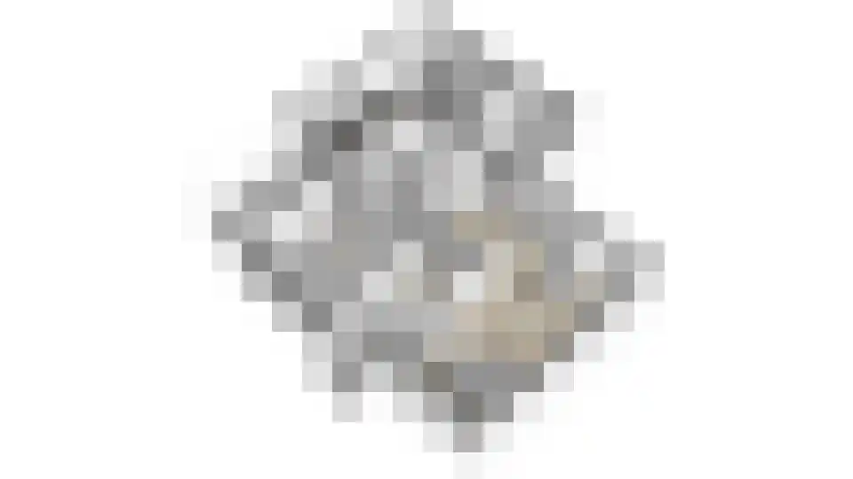 Repinge 2 Hoeven thumbnail 42