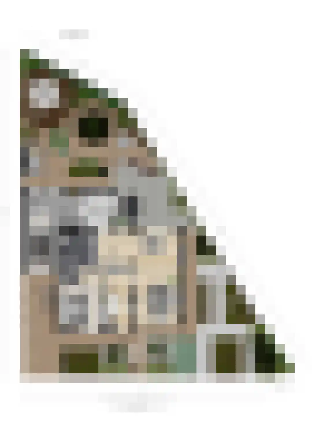 Repinge 2 Hoeven thumbnail 46