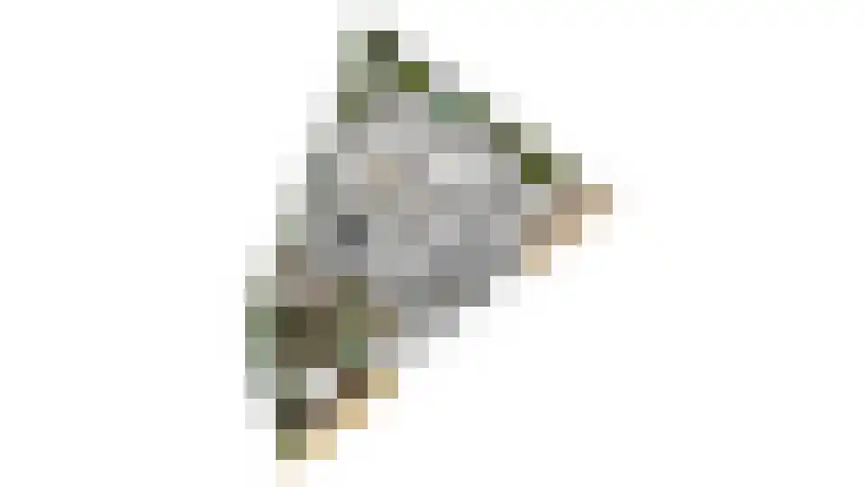 Repinge 2 Hoeven thumbnail 47