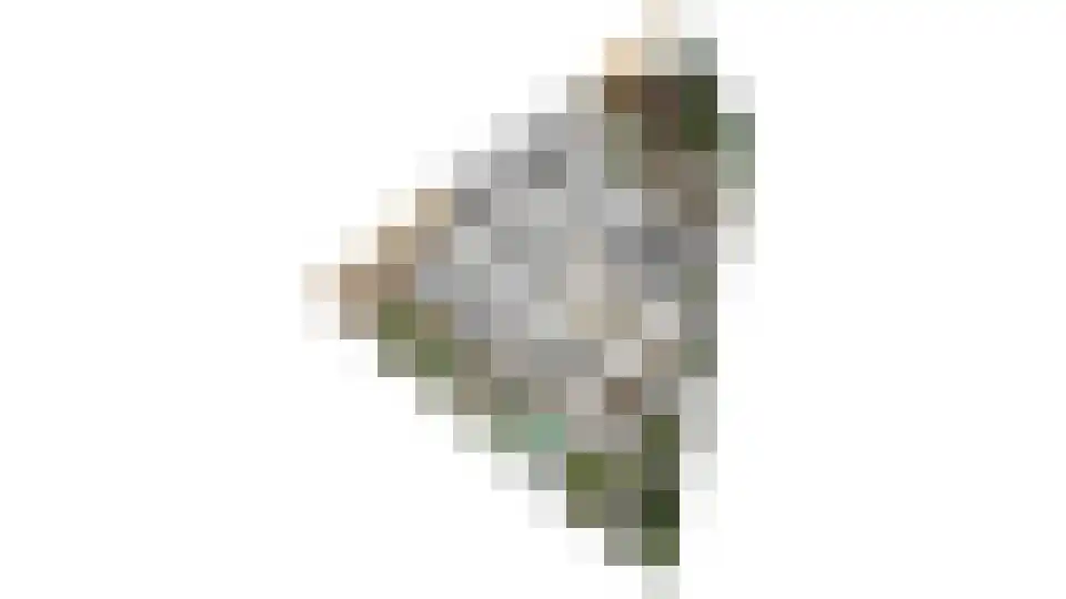 Repinge 2 Hoeven thumbnail 48