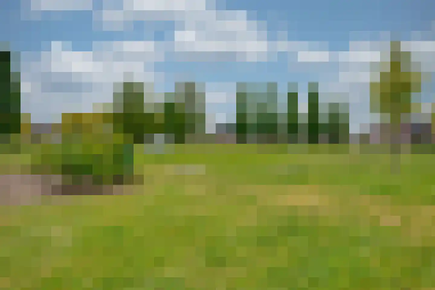 Repinge 2 Hoeven thumbnail 7