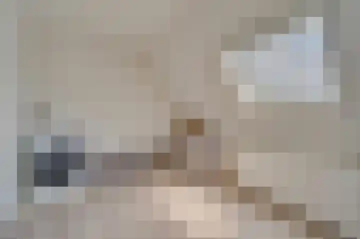 Requesensstraat 25 Venlo thumbnail 24