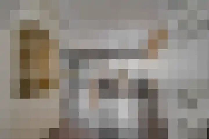 Requesensstraat 25 Venlo thumbnail 6