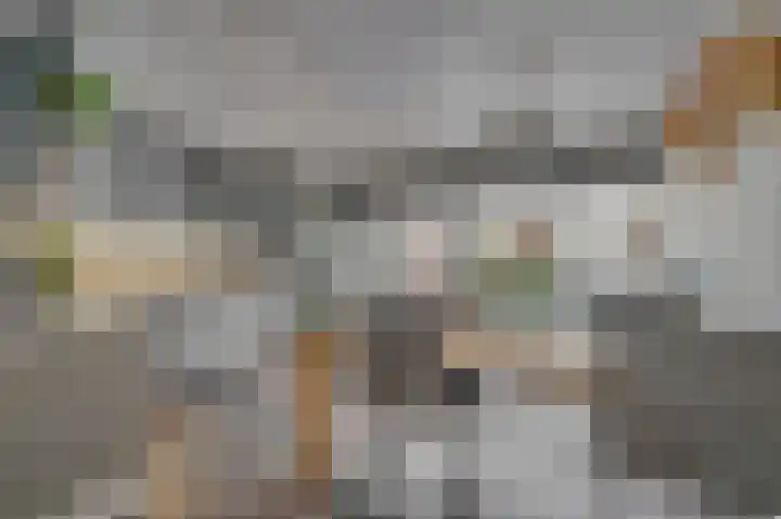 Requesensstraat 25 Venlo thumbnail 7