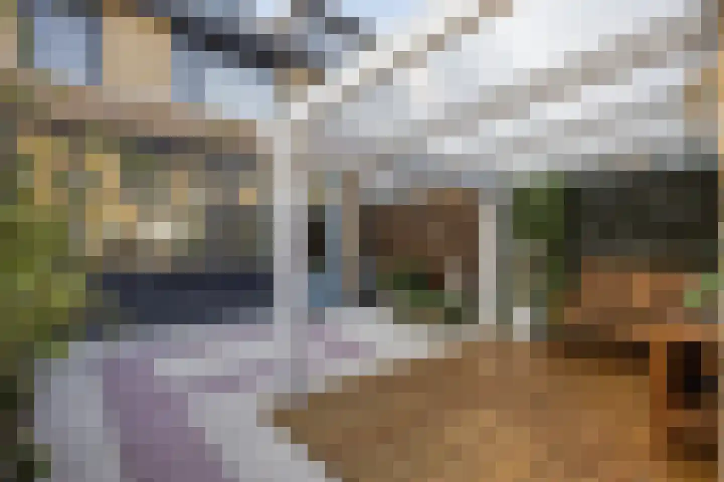 Resakhout 22 Zoetermeer thumbnail 51