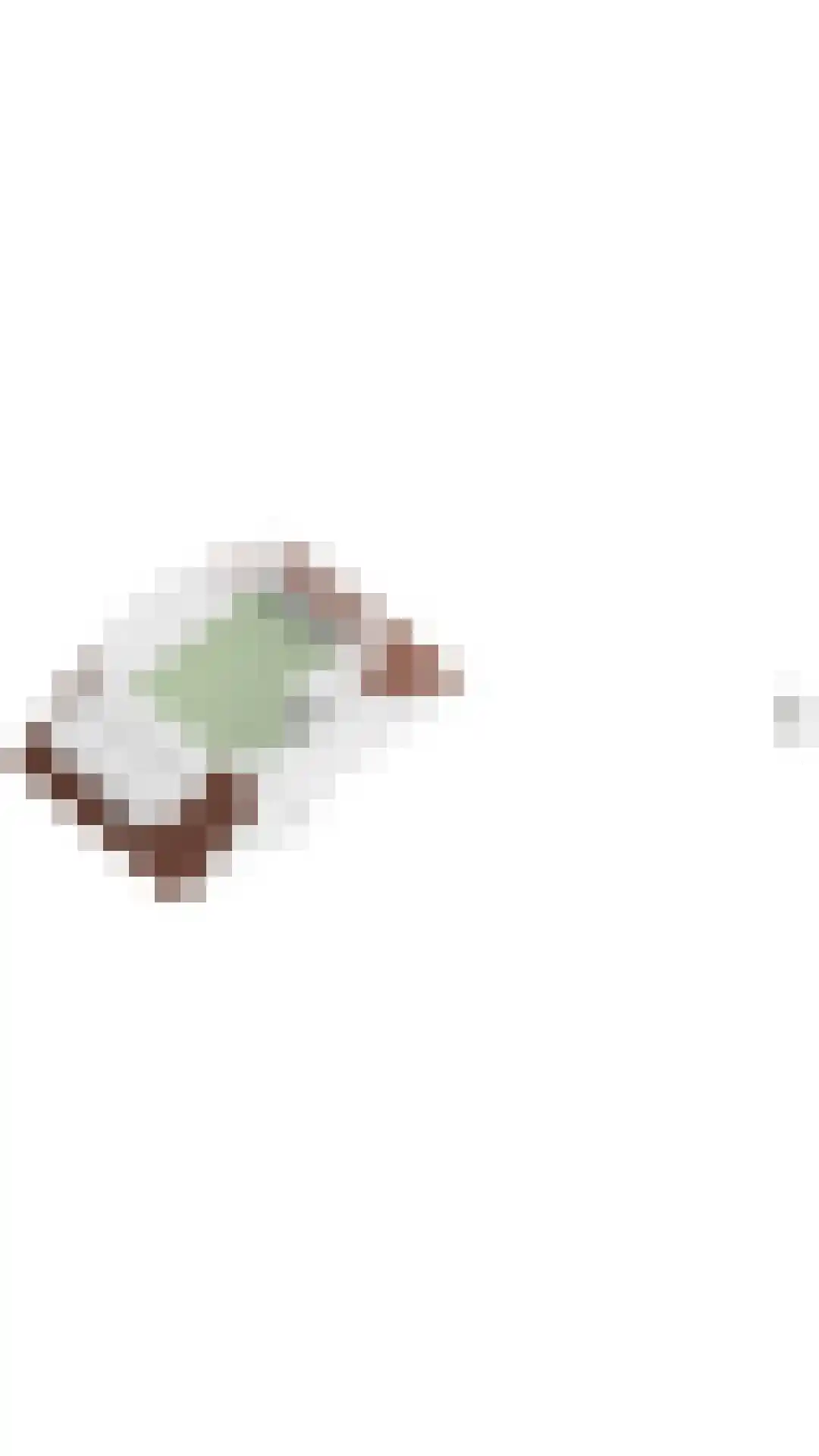 Resakhout 22 Zoetermeer thumbnail 63