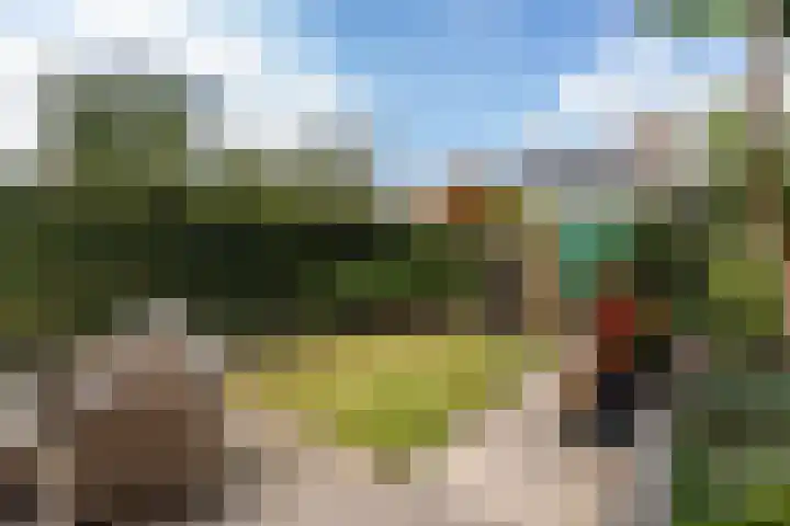 Reseda 3 Dordrecht thumbnail 20