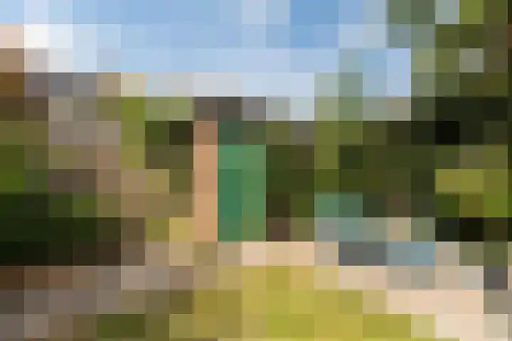 Reseda 3 Dordrecht thumbnail 22