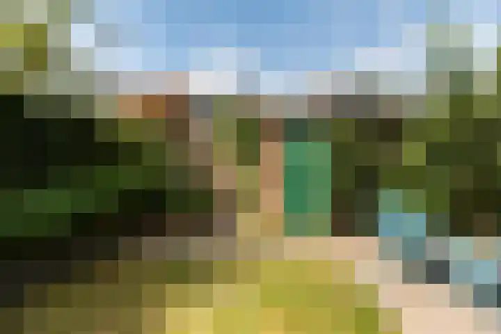 Reseda 3 Dordrecht thumbnail 23
