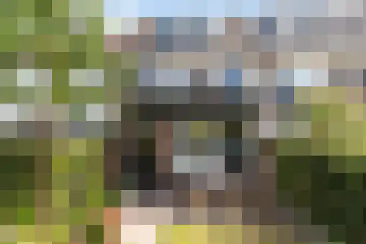 Reseda 3 Dordrecht thumbnail 24