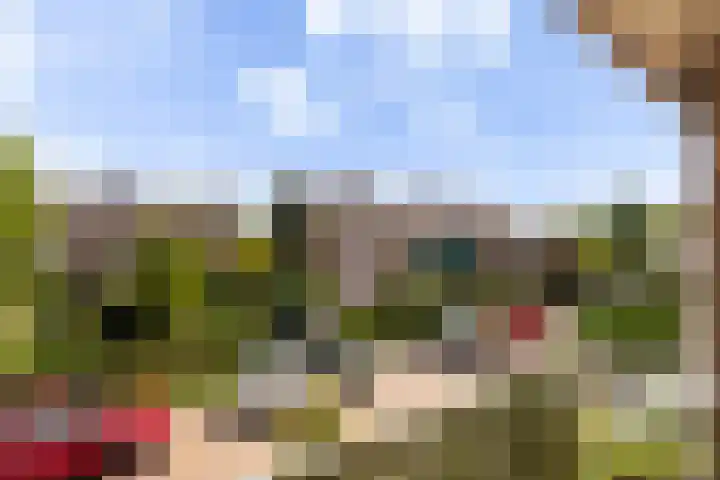 Reseda 3 Dordrecht thumbnail 33