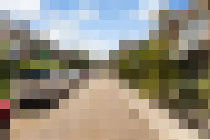 Reseda 3 Dordrecht thumbnail 4