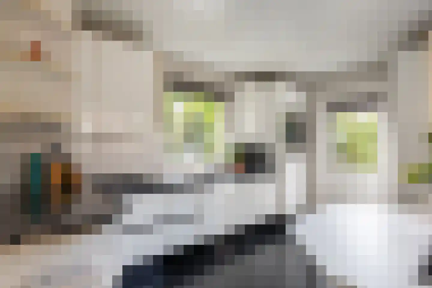 Resedalaan 16 Waalre thumbnail 10