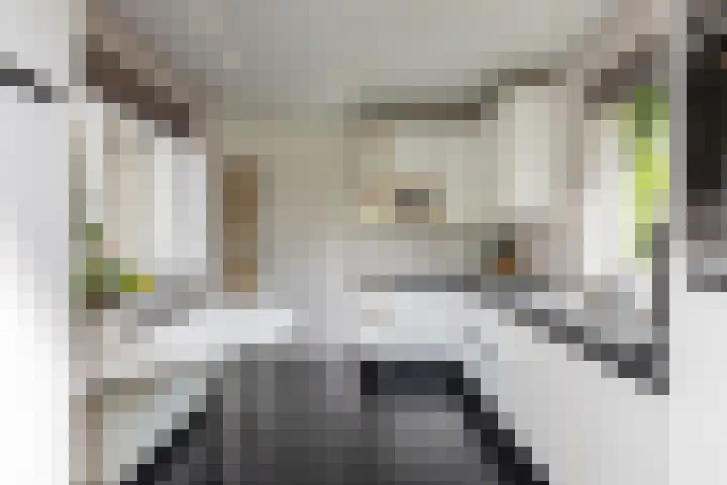 Resedalaan 16 Waalre thumbnail 11