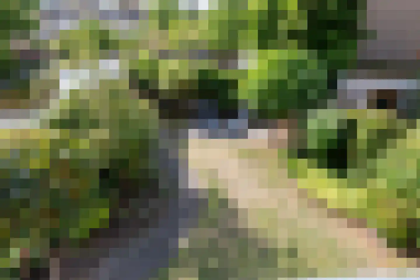 Resedalaan 16 Waalre thumbnail 25