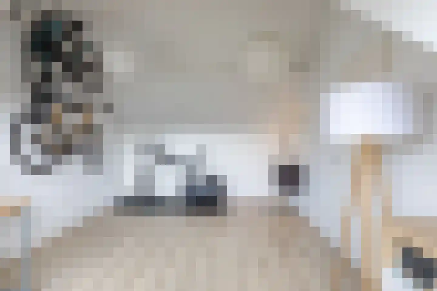Resedalaan 16 Waalre thumbnail 27
