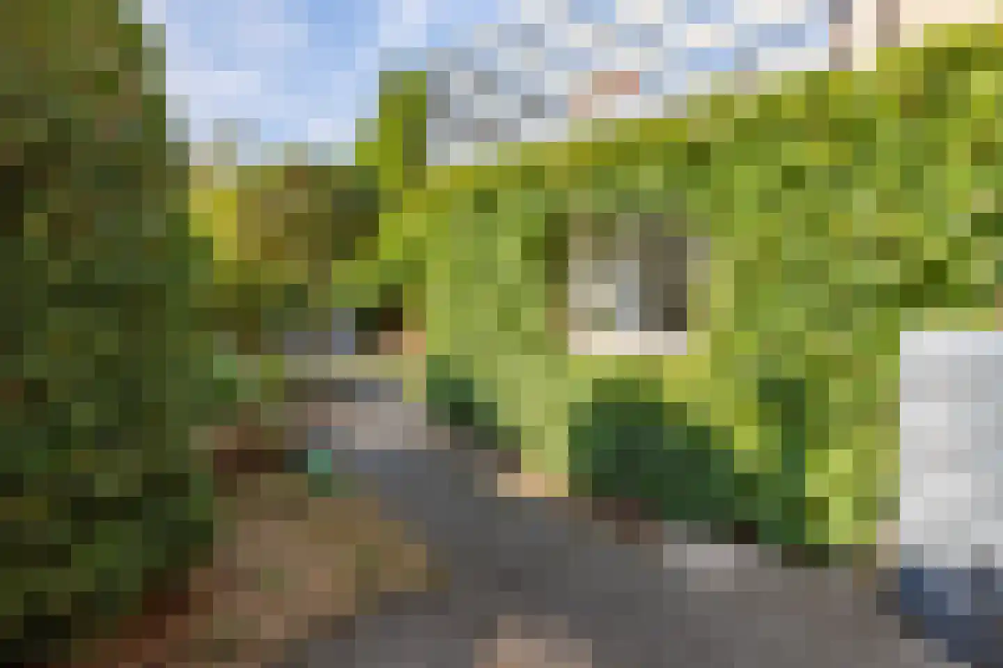 Resedalaan 16 Waalre thumbnail 34