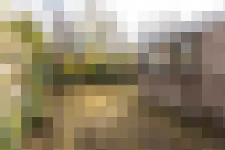 Resedalaan 29 Waalre thumbnail 25