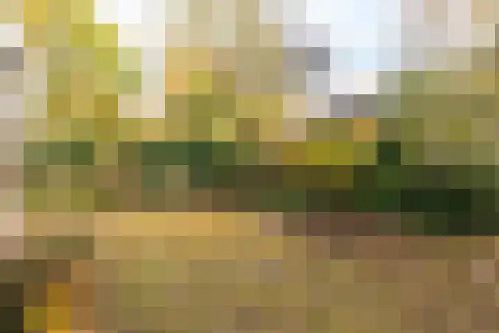 Resedalaan 29 Waalre thumbnail 26