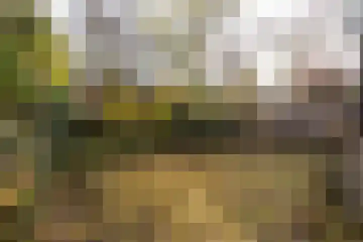 Resedalaan 29 Waalre thumbnail 27