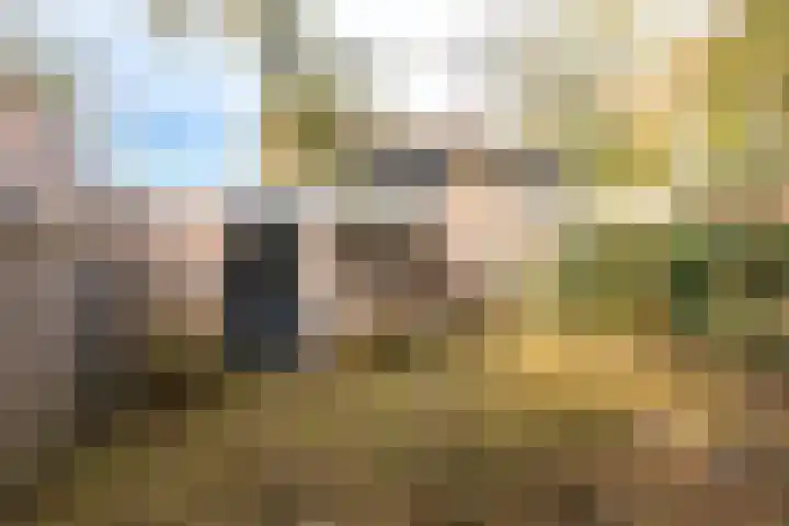 Resedalaan 29 Waalre thumbnail 28