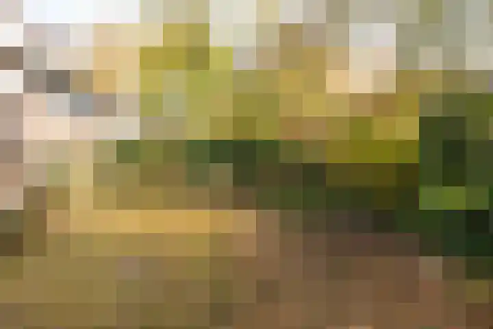 Resedalaan 29 Waalre thumbnail 29