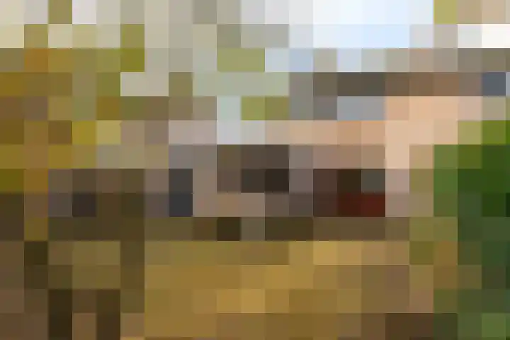 Resedalaan 29 Waalre thumbnail 30