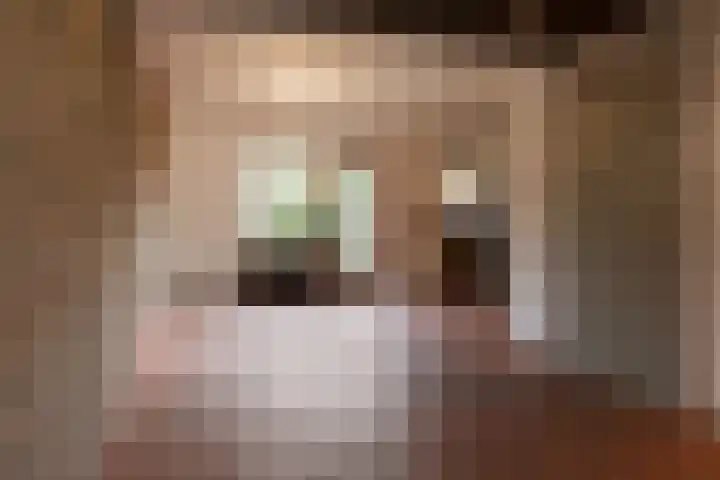 Resedalaan 29 Waalre thumbnail 5