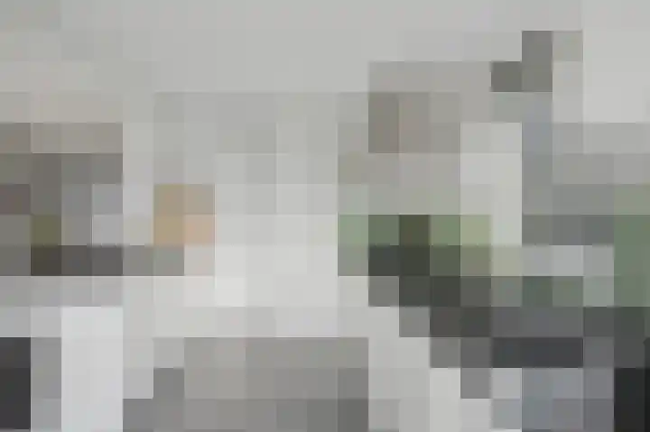 Resedalaan 30 Waalre thumbnail 22