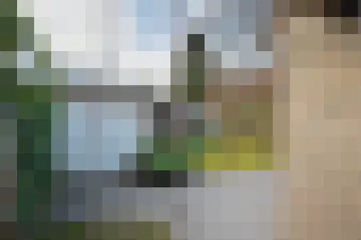 Resedalaan 30 Waalre thumbnail 56