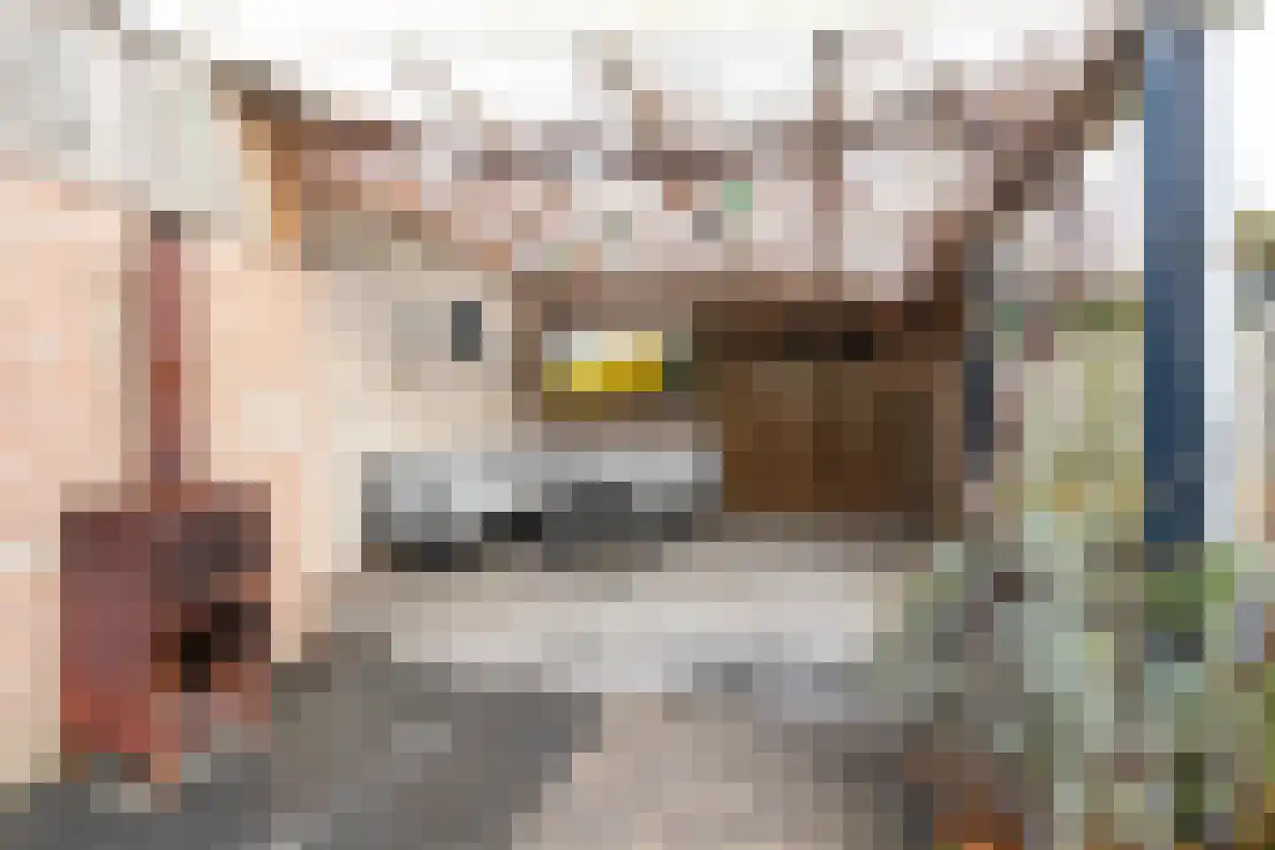 Resedalaan 35 Waalre thumbnail 41