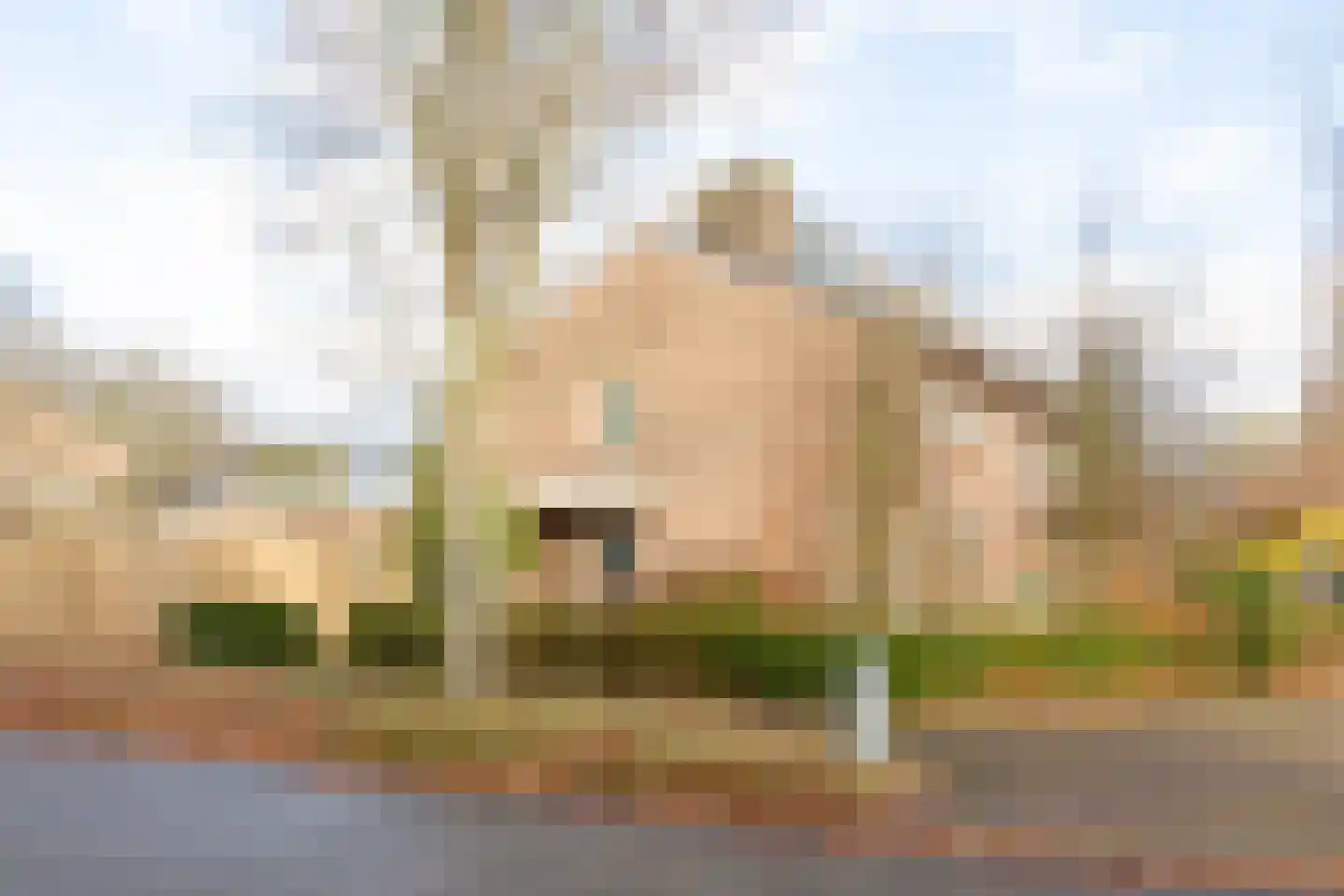 Resedalaan 35 Waalre thumbnail 43