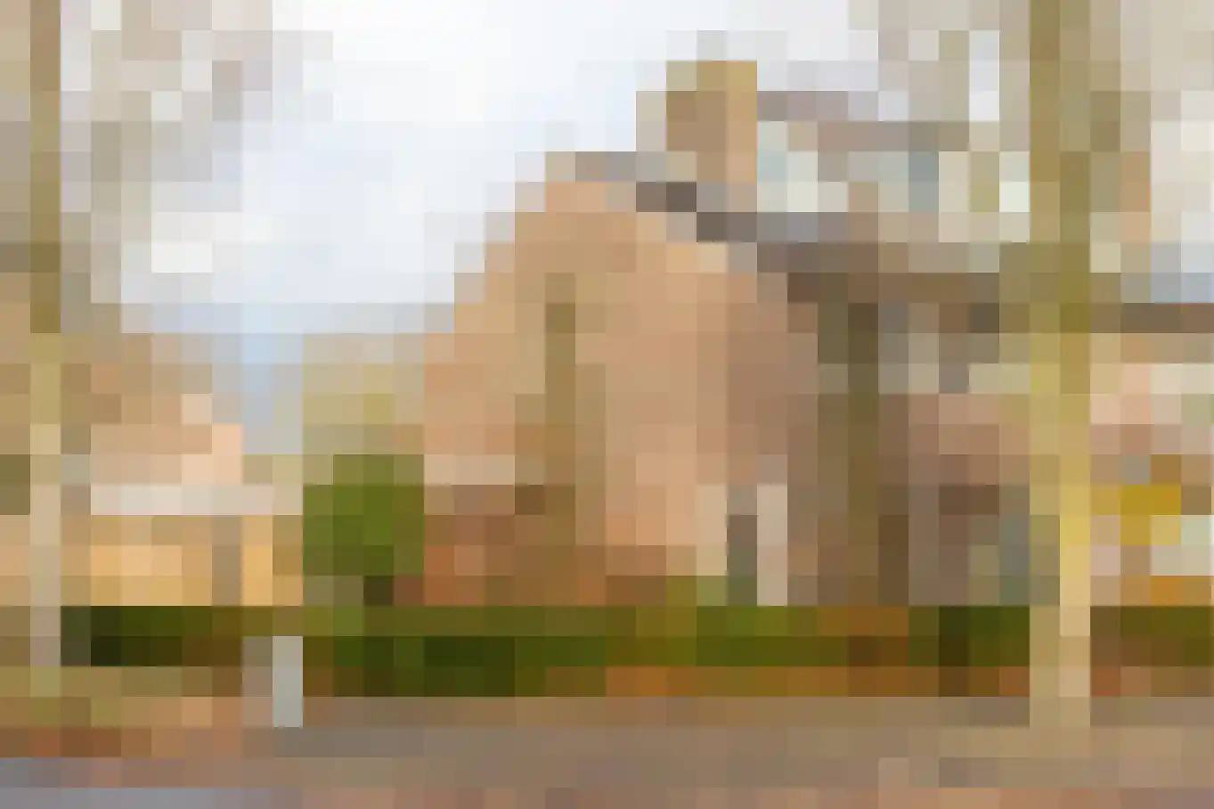Resedalaan 35 Waalre thumbnail 44