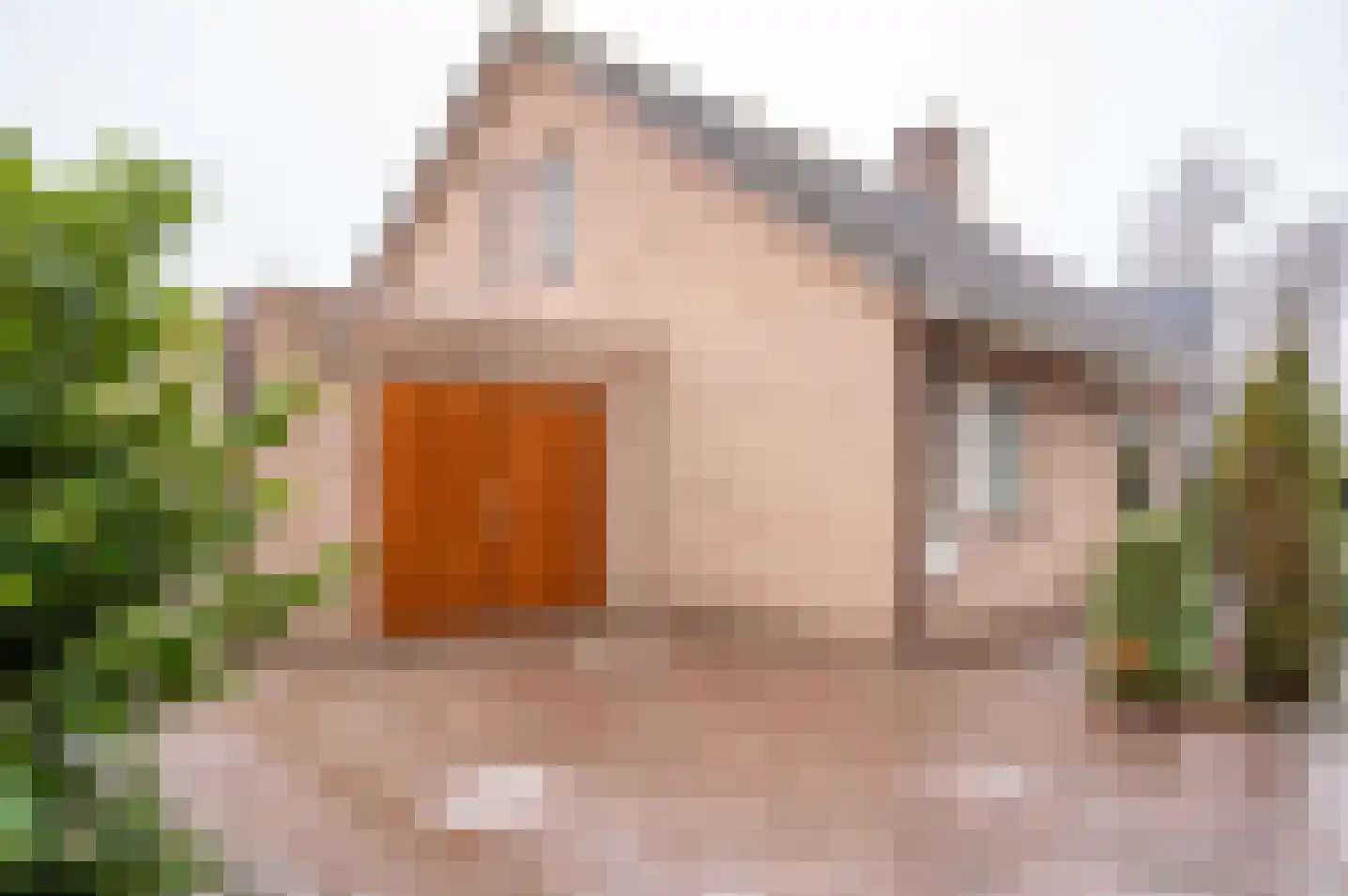 Resedastraat 1 Zelhem thumbnail 25