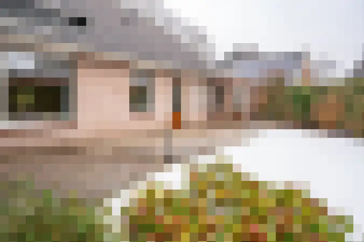 Resedastraat 1 Zelhem thumbnail 38