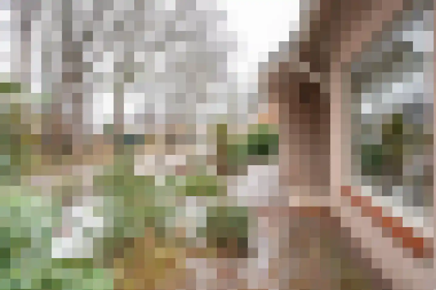 Resedastraat 1 Zelhem thumbnail 44