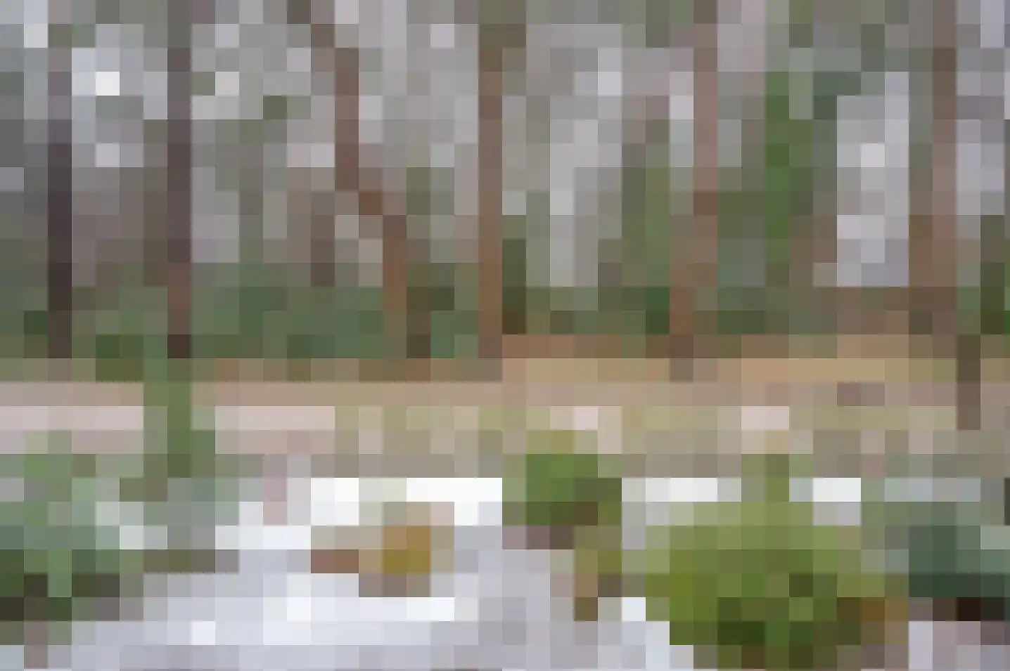 Resedastraat 1 Zelhem thumbnail 45