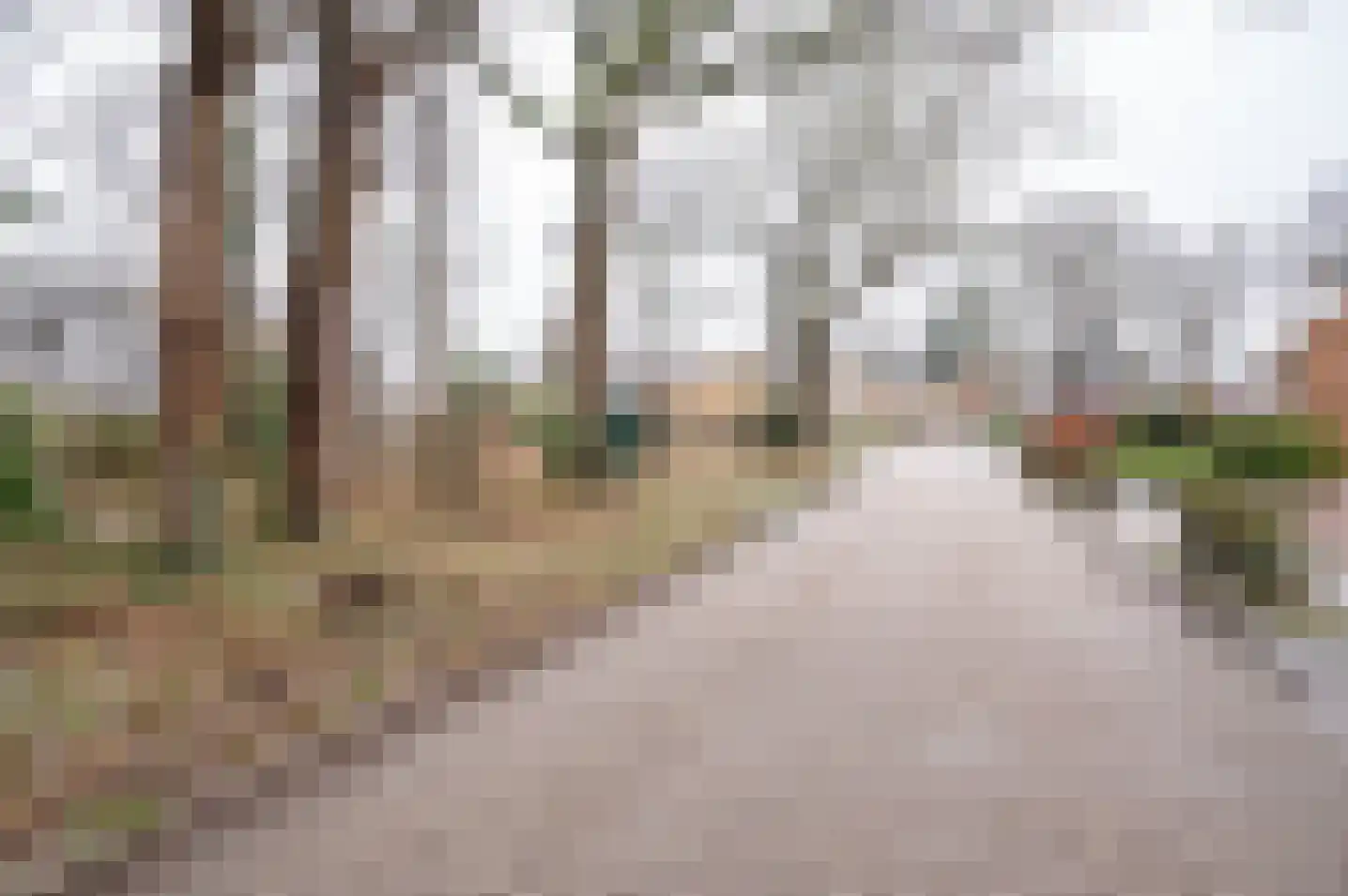 Resedastraat 1 Zelhem thumbnail 46