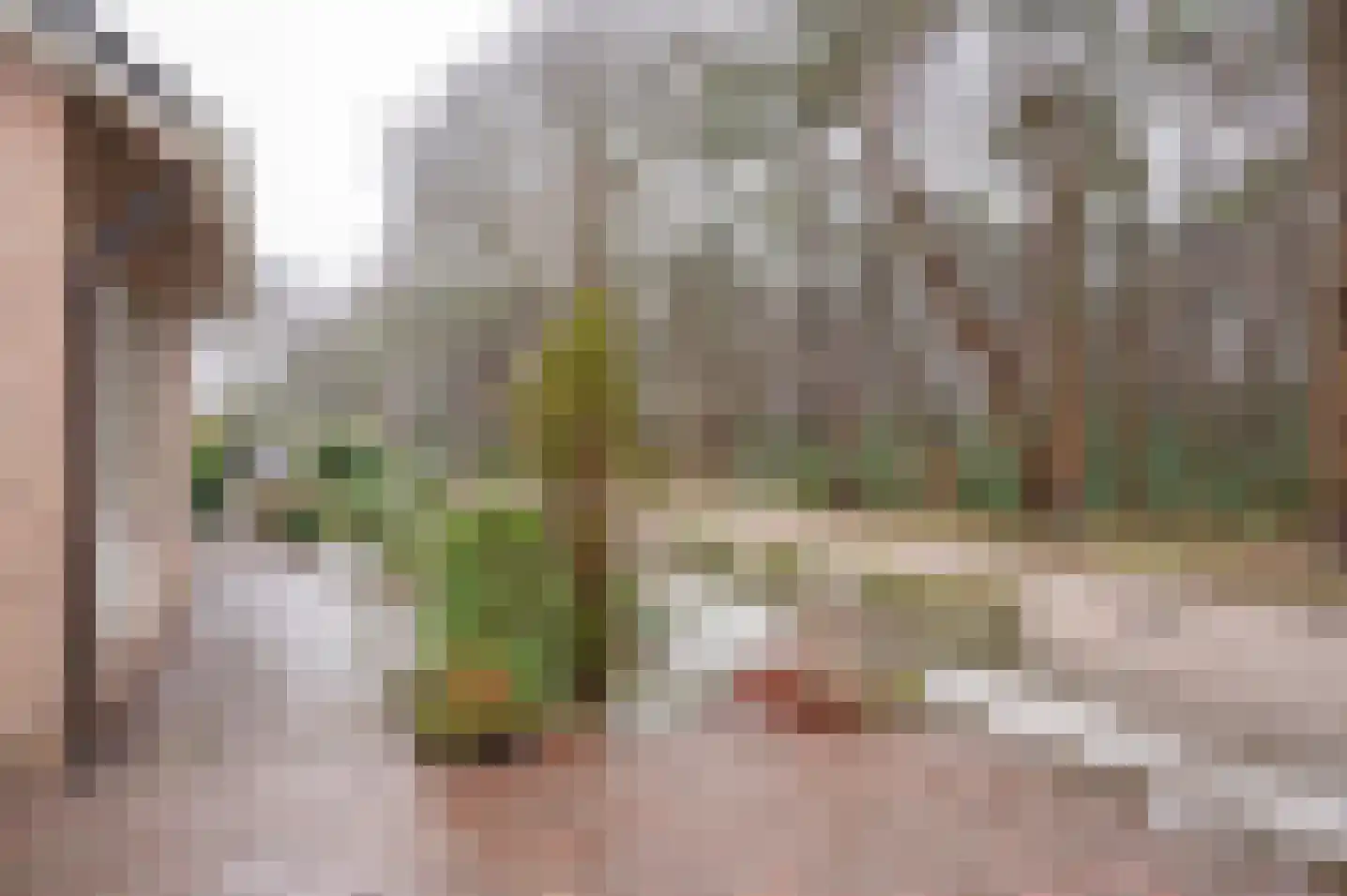 Resedastraat 1 Zelhem thumbnail 8